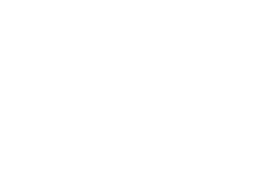 UdeSA